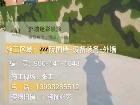 宝鸡 迷彩漆喷涂价格（按平方米计费）